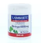 Lamberts Ginkgo 6000mg