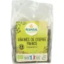 Primeal Pompoenpitten uit Frankrijk bio