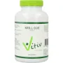 Vitiv Krillolie 500mg antartic