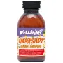 Damhert Energy shot gember bio