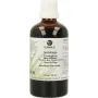 Groene Os Solidago complex paard/pony