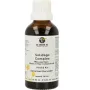 Groene Os Solidago complex hond/kat
