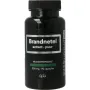 Apb Holland Brandnetel extract puur forte 500mg