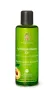 Primavera Apricot kerne oil bio