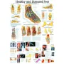 Poster Voet 70 x 100 cm
