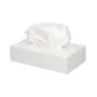 Facial Tissue 2-laags 100 stuks
