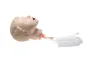 Laerdal - Resusci Junior Hoofd met luchtweg, Upgrade kit